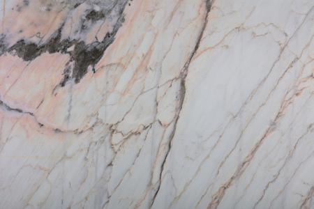 Calacatta Crema | EIGHT STONES